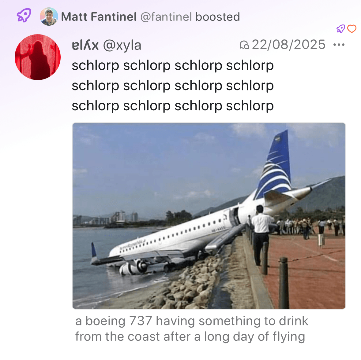 Screenshot of Phanpy, showing a post with an image, and the image has its alt text displayed right below it, almost as if it were a caption.